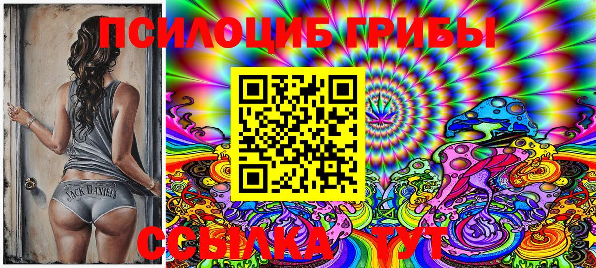 Орск  Псилоцибиновые грибы GOLDEN TEACHER  Вход с VPN  Галлюциногенные грибы Psilocybine cubensis 